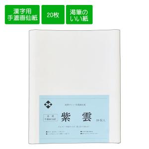 画仙紙半切 因州手漉き画仙紙 本草画仙未晒 半切 条幅 35cm