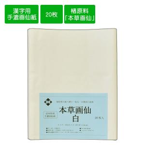 画仙紙半切 因州手漉き画仙紙 本草画仙未晒 半切 条幅 35cm×136cm 20枚