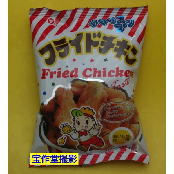 駄菓子のバラ売り　松山製菓　フライドチキン　テキサスコーン　10g
