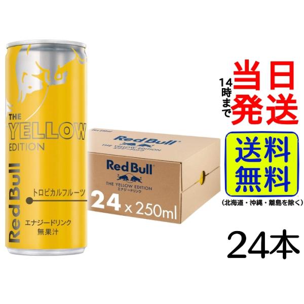 レッドブル イエローエディション 250ml × 24本 【賞味期限は2024年8月16日】 Red...