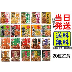 大人気 レトルト 食品 20種類詰め合わせ Aセット【パッケージ変更、終売などにより内容が変更される場合もございます。】｜カップ麺の総合食品卸問屋housechoice