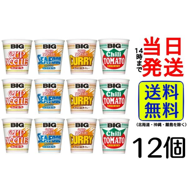 日清 カップヌードルBIG 4種12食 詰め合わせセット