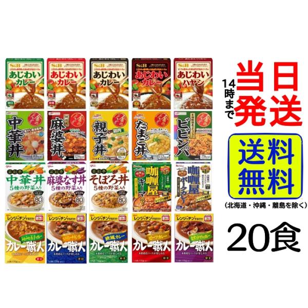 大人気 レトルト 食品 20種類詰め合わせ Bセット