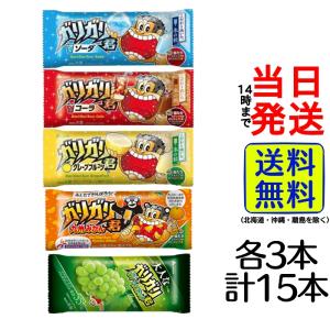 赤城乳業 ガリガリ君 5種各3袋 計15袋 アソートセット 【メーカー様の仕様によりパッケージ変更や内容が変更される場合もございます。】