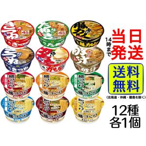 日清食品 カップ麺 12種12食 詰め合わせセット : カップ麺の総合食品卸