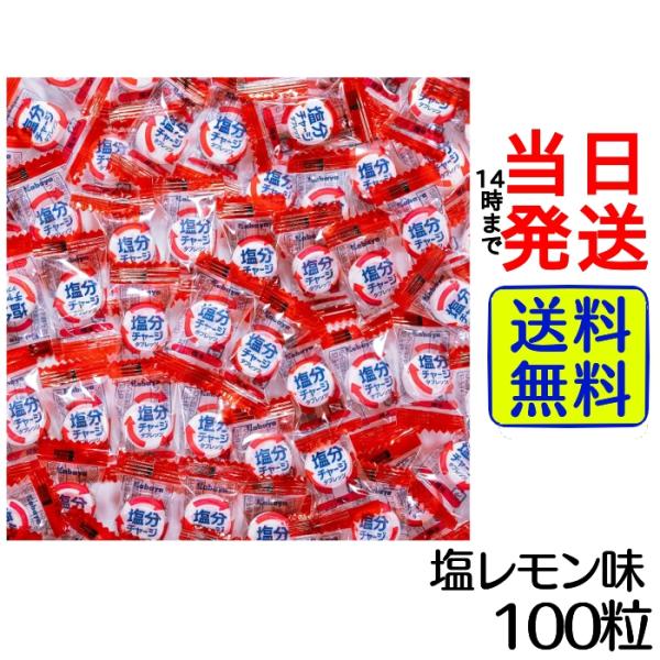 塩分チャージ タブレッツ カバヤ 熱中症対策 (梅味 100粒)