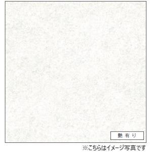 アイカ キッチンパネル セラール FAN1966ZMN 壁面用 鏡面仕上げ 1枚
