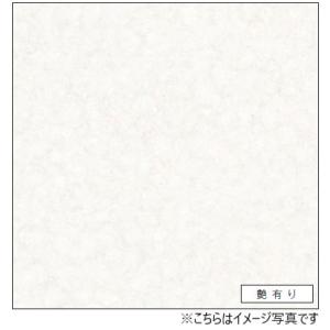 アイカ キッチンパネル セラール FAN1966ZMN 壁面用 鏡面仕上げ 1枚