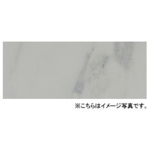 日本デコラックス パニートキッチンパネル(バスルーム・サニタリー・トイレスペース兼用) FX-3650G ビアンコカラーラ サイズ3mm×910mm×1820mm (3×6版)｜house-tss-y