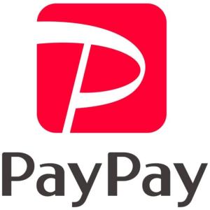 paypay決済専用カート paypay100