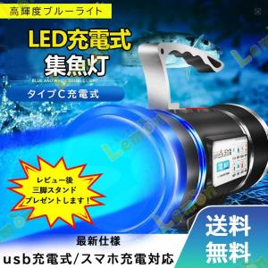 集魚灯 ブルー 青色LED 水中集魚灯 投光器 USB充電式