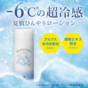 化粧水 シャーベットローション 95g ハウス...の詳細画像4