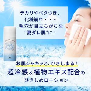 化粧水 シャーベットローション 95g ハウス...の詳細画像5