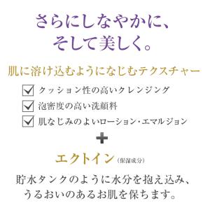 洗顔料 洗顔フォーム リファイニングWT ウォ...の詳細画像4