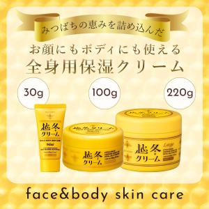 ボディクリーム 越冬クリーム n 30g 保湿...の詳細画像2