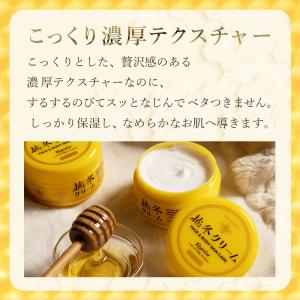 ボディクリーム 越冬クリーム n 30g 保湿...の詳細画像5