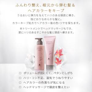 シャンプー & トリートメント メイプリーゼ ...の詳細画像2