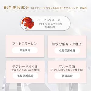 シャンプー & トリートメント メイプリーゼ ...の詳細画像3