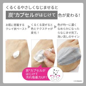 洗顔料 ドットファイン ミガクレイペースト 1...の詳細画像4