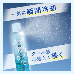 ボディ用化粧水 その場しのぎ 100g ボディ...の詳細画像4