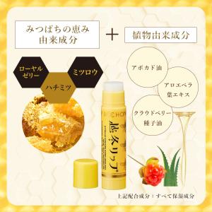 リップクリーム 越冬リップ 2個セット ハウス...の詳細画像3