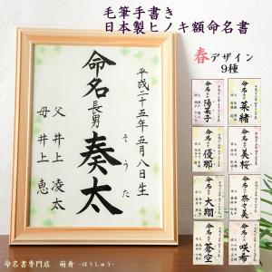 命名書 毛筆手書き 日本製木製ヒノキ額入り 命名紙　春デザイン　A4サイズ　木製額　出産祝い