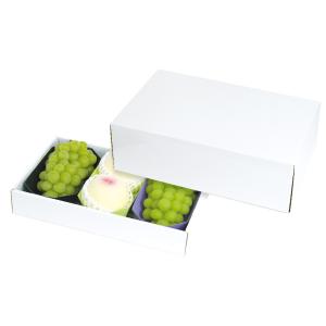 エフピコチューパ 野菜袋 サンボードン SB T-26みず菜 [ft] (5000枚