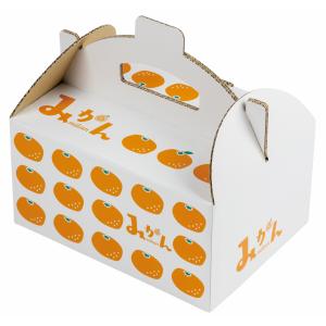 ヤマニパッケージ みかん箱 L-2505 イラストみかん手提 60 255×178