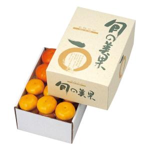 ヤマニパッケージ みかん箱 L-341 旬の美果 5kg 330×220×140mm 1ケース