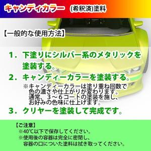 PG80 キャンディーカラー ピンク 4L /...の詳細画像5