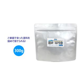 PROST’s 塗料固化剤 固まーるPRO 300g｜houtoku