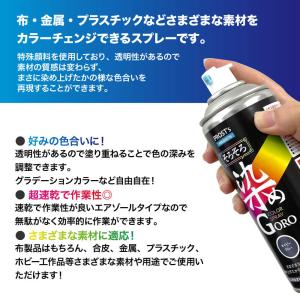 PROST’s そろそろ 染め GORO 10...の詳細画像1