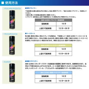 PROST’s そろそろ 染め GORO 10...の詳細画像4