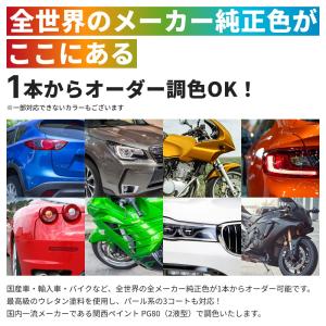 PROSTs ウレタン純正色 2液型スプレー ...の詳細画像3