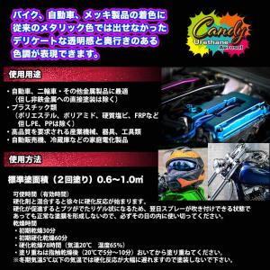 PROST キャンディー ウレタン エアゾール...の詳細画像4