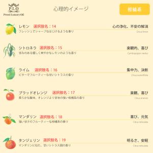 アロマオイル 46種類から選べる 7本セット ...の詳細画像4