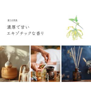 Prost Luxury Oil イランイラン...の詳細画像1