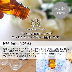 Prost Luxury Oil カンファーホ...の詳細画像2