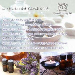 Prost Luxury Oil カンファーホ...の詳細画像4