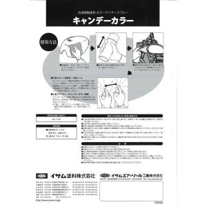 イサム キャンディーカラー エアゾール 300...の詳細画像2