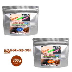 モデリングレジンPRO エポキシパテ 300gセット/造形 ホビー