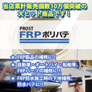硬化剤付!FRPポリエステルパテ 1kg 下地...の詳細画像1