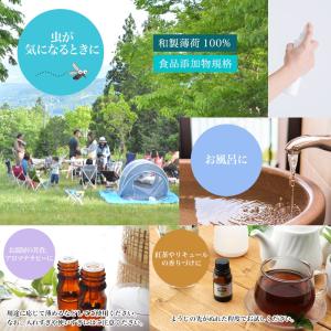 NEW!P.L.O ハッカ油 [食品添加物規格...の詳細画像1