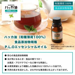 NEW!P.L.O ハッカ油 [食品添加物規格...の詳細画像2