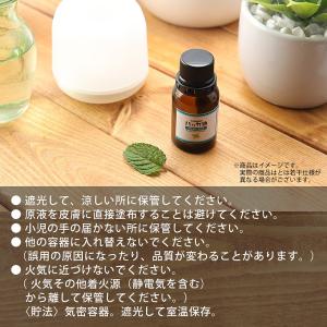 NEW!P.L.O ハッカ油 [食品添加物規格...の詳細画像4