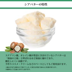 Prost Luxury Oil 精製 シアバ...の詳細画像3