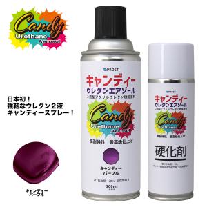 PROST キャンディー ウレタン エアゾール ...の商品画像