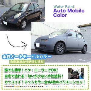 水性オートモービルカラー ディープカラー 全1...の詳細画像2