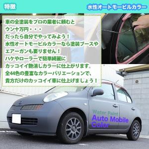 水性オートモービルカラー ライトカラー 全21...の詳細画像4