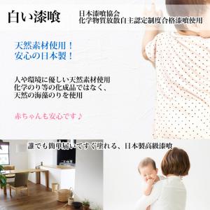 送料無料!練り漆喰プレミアム ピュアホワイト ...の詳細画像1